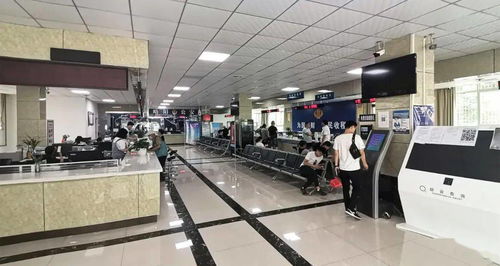 略阳创新互联网政务服务 助力企业和群众办事‘最多跑一次’